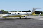 FSX
                  LearJet 45 Gold Textures (Updated)